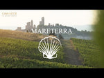 Italian Tuscan Organic White Wine Vernaccia of San Gimignano Reserve Mareterra Casa Lucii Harvest