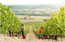 Sustainable Agriculture: Preserving Our Future is Important