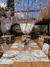GIOVINEZZA - Wine Tasting and Tour
